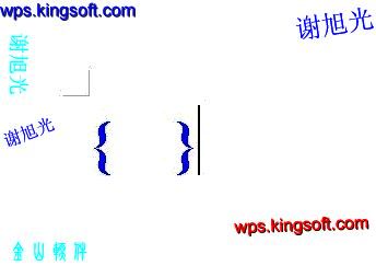 在WPS下实现用域真正分数输入技巧