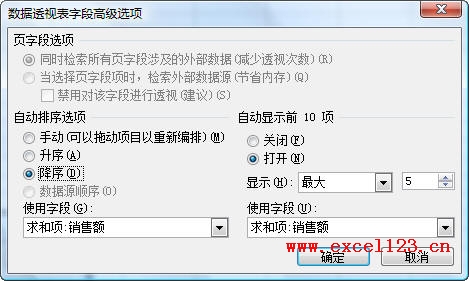 Excel2003数据透视表字段高级选项