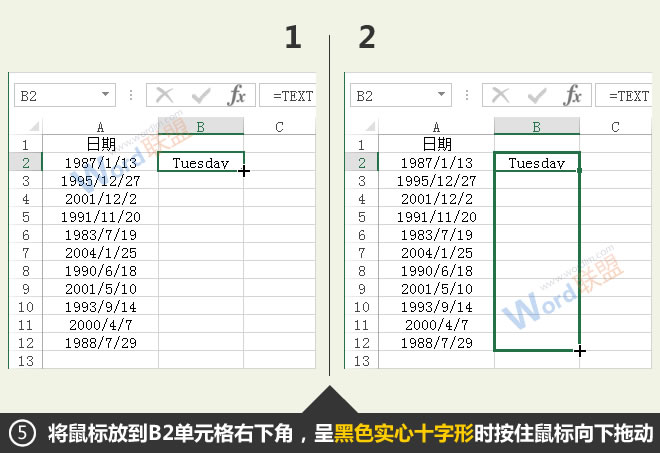 自动填充